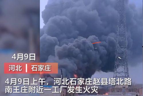 保定市媒体爆料事件最新,真相背后引发社会热议