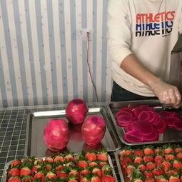 果茶视频爆料怎么做的,自制果茶轻松上手，夏日饮品新选择